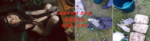 тгк Абинск