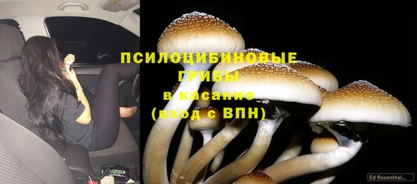 тгк Абинск