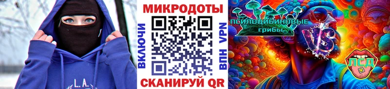 где найти   Киренск  Галлюциногенные грибы мицелий 